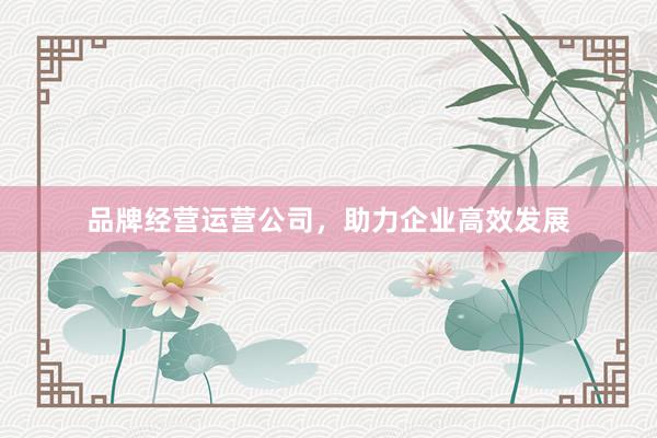 品牌经营运营公司，助力企业高效发展